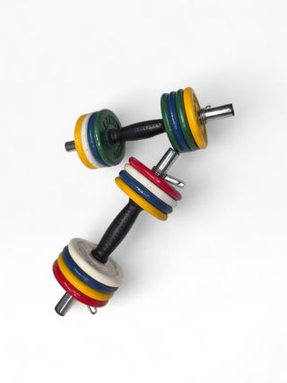 Conjunto Halteres Ajustáveis Salter