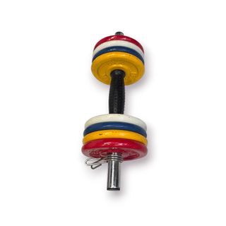 Conjunto Halteres Ajustáveis Salter