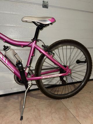 Bicicleta Montaña Rosa JL-WENTI