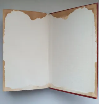 Libro: Miedo a volar.