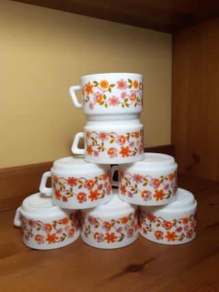 7 tazas Arcopal SCANIA