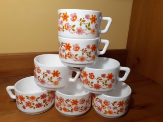 7 tazas Arcopal SCANIA