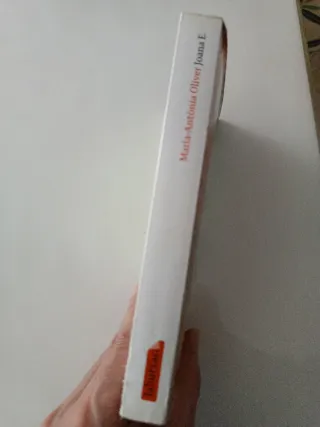 Joana E.: Premi Prudenci Bertrana 1991