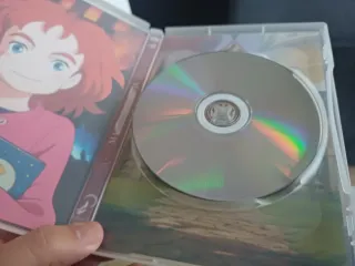 Mary y la Flor de la Bruja DVD