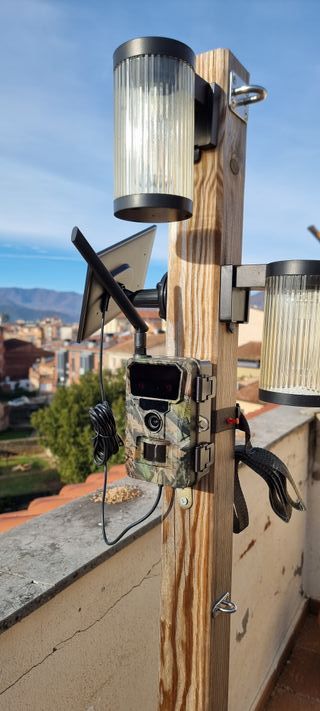 Cámara Fototrampeo Solar 4G LTE