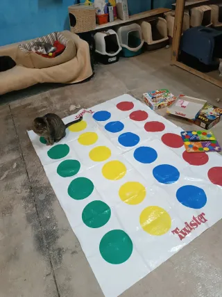 Juego de mesa Twister MB