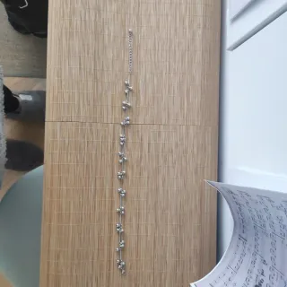 Gargantilla plateada.