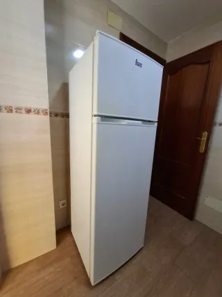 FRIGORIFICO TEKA FTM 310