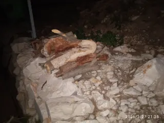 Leña de pino y olivo cortada