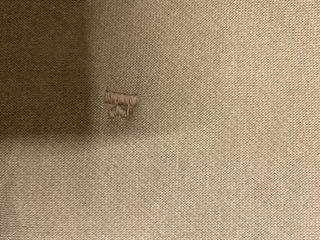 Pantalón chándal gris / beig  Kangol