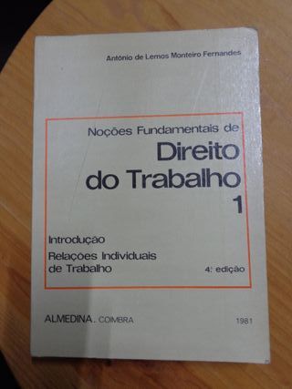 Livro - Noções Fundamentais de Direito do Trabalh