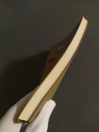 Prensa juvenil – Andrés Romero (Ensayo técnico