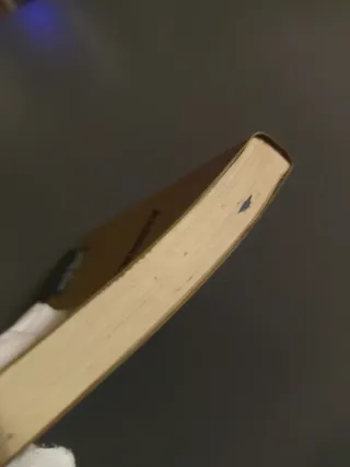 Prensa juvenil – Andrés Romero (Ensayo técnico