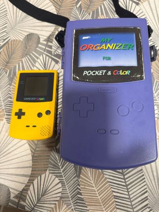 Game Boy Color con custodia protettiva