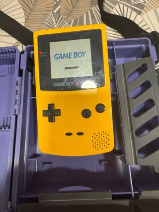 Game Boy Color con custodia protettiva