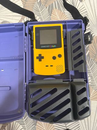 Game Boy Color con custodia protettiva