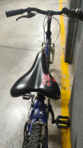 Bicicleta Montañera Niño Rin 20