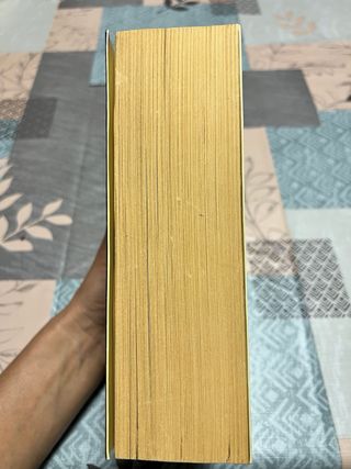 El quadern daurat - Doris Lessing