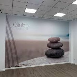 Vinilos en pared revestimiento de vinilo y murales