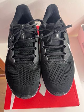 Nike Air Zoom Pegasus 41 Talla 39