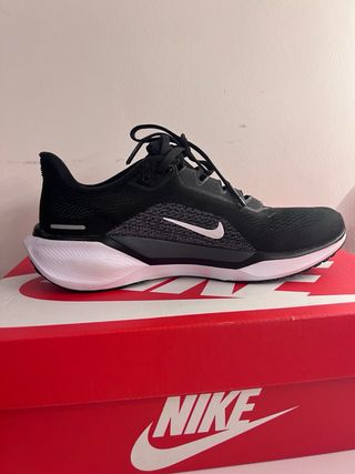 Nike Air Zoom Pegasus 41 Talla 39