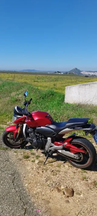 Honda CB600F Hornet ABS