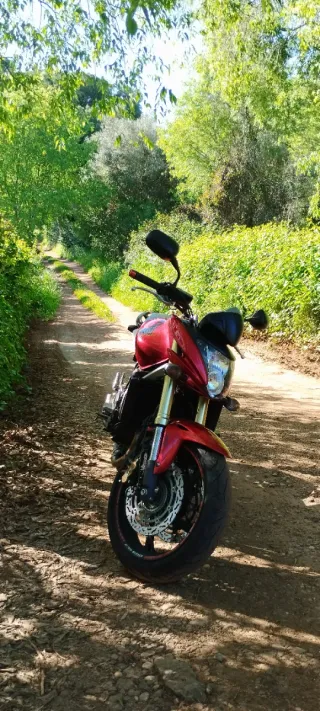 Honda CB600F Hornet ABS