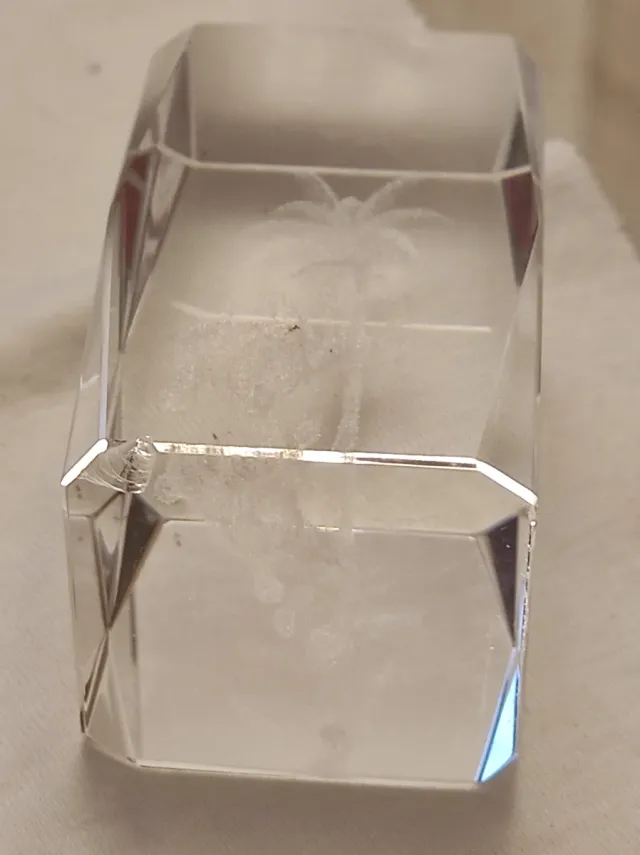 Pisapapeles Cristal 3D Elefante con Palmera