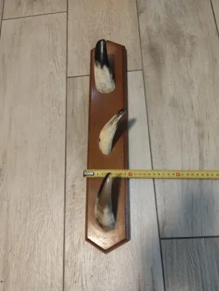 Appendiabiti Design Corno Legno