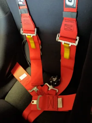 Arneses de coche GT2i