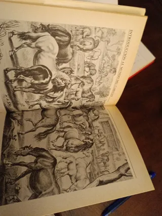 El caballo: enciclopedia de la equitación y de ...