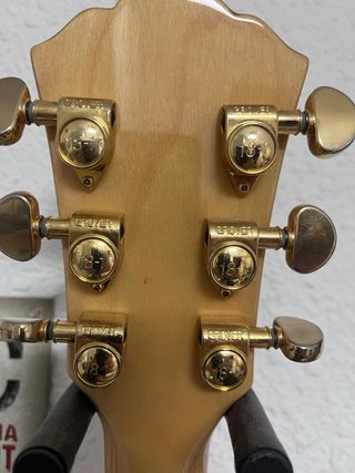 Washburn HB-35 con pastillas tonerider