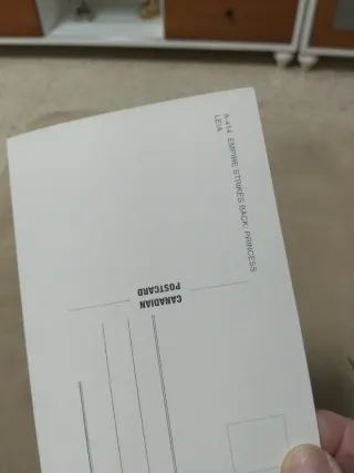 2 Cartoline Principessa Leia Bianco e Nero