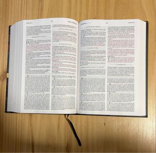 Biblia de Estudio Patrística. RVR