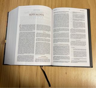 Biblia de Estudio Patrística. RVR