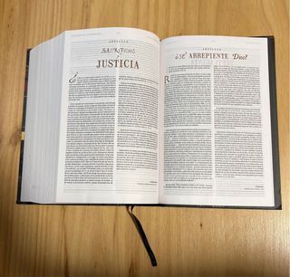 Biblia de Estudio Patrística. RVR