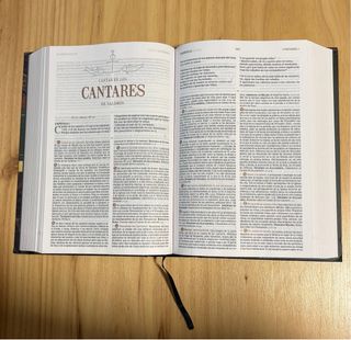 Biblia de Estudio Patrística. RVR