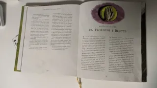 Harry Potter y la cámara secreta (Harry Potter ...