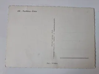 4 Vecchie Cartoline di Grandi Felini in Bianco e Nero