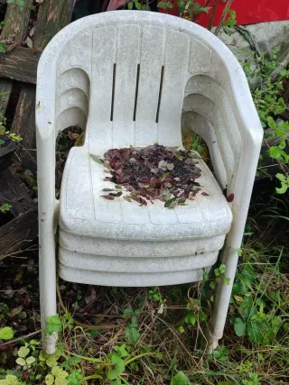 8 Sillas de terraza verdes