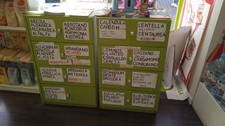 Cajoneras de madera verde