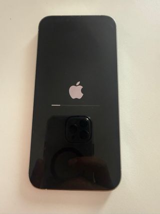 iPhone 13 Pro Max 256GB Grigio - Batteria 100%