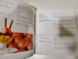 La heladería en casa. Libro