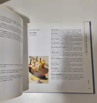 La heladería en casa. Libro