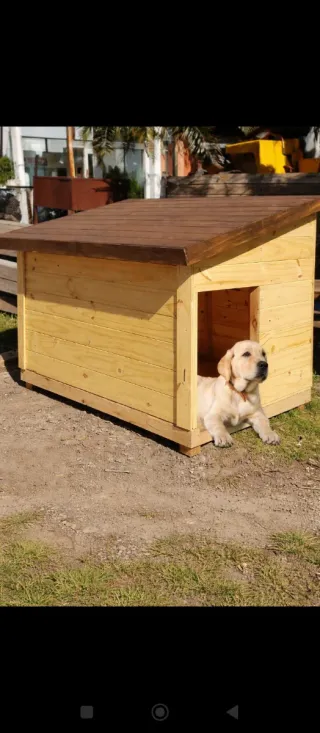 Casita de madera para perros