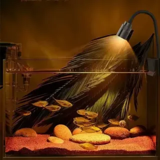 Foco LED 3W para acuario con temporizador