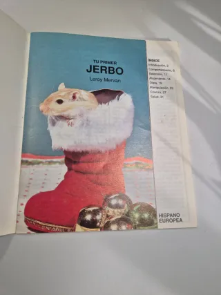 "Tu primer Jerbo" - Guía de cuidados (L. Mervan)
