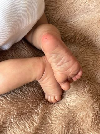 Rebon original precio fijo.