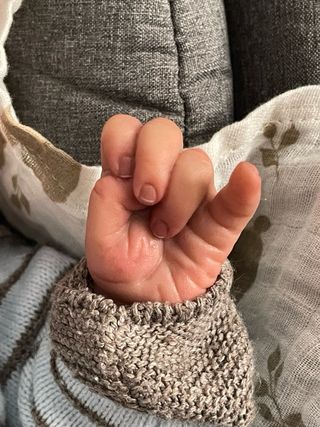 Rebon original precio fijo.