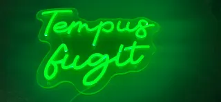 Lampada Neon LED "TEMPUS FUGIT"